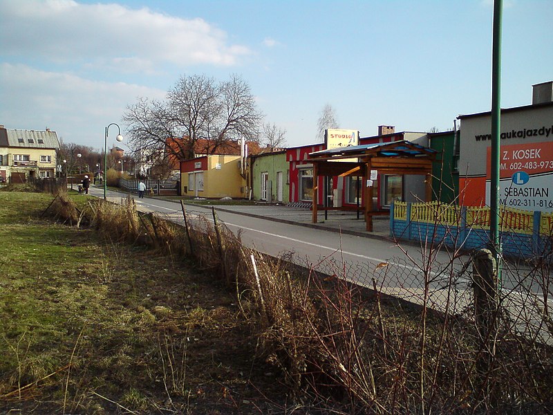 File:Dzierzoniow, Poland - panoramio - lelekwp (87).jpg