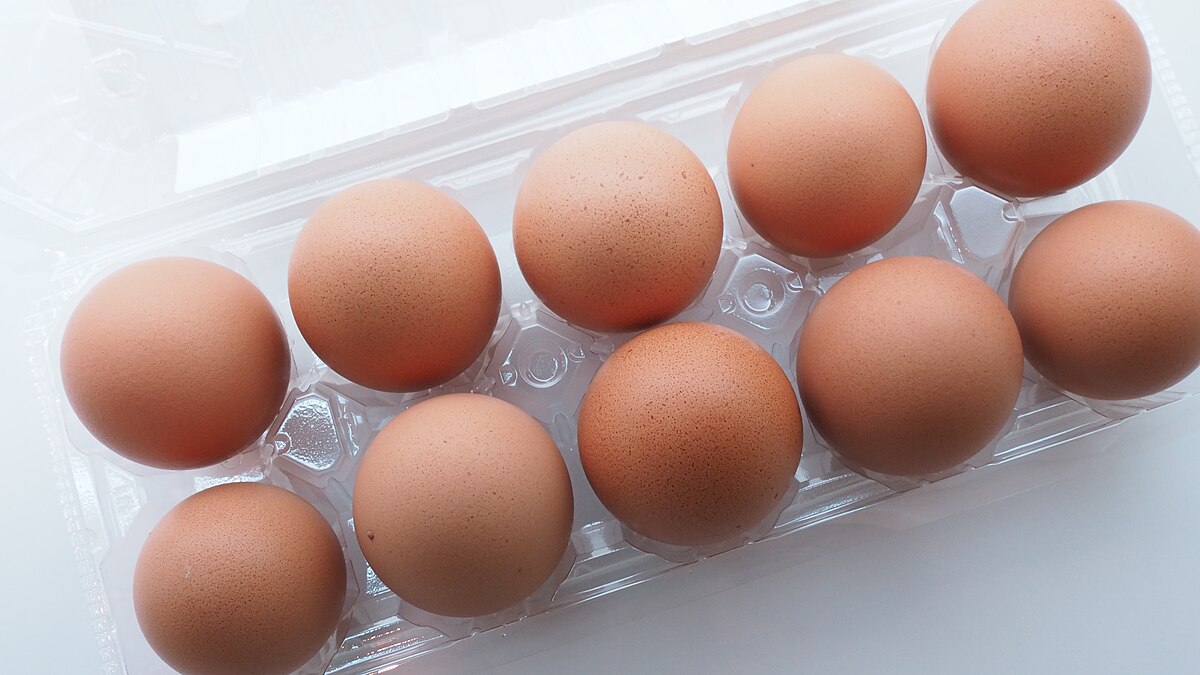 Egg carton - Wikipedia