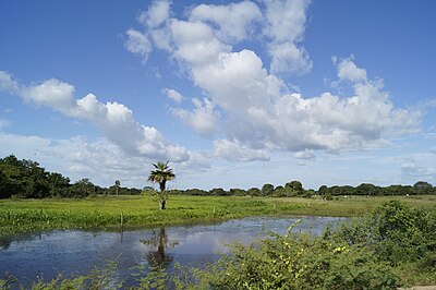 Región de Los Llanos