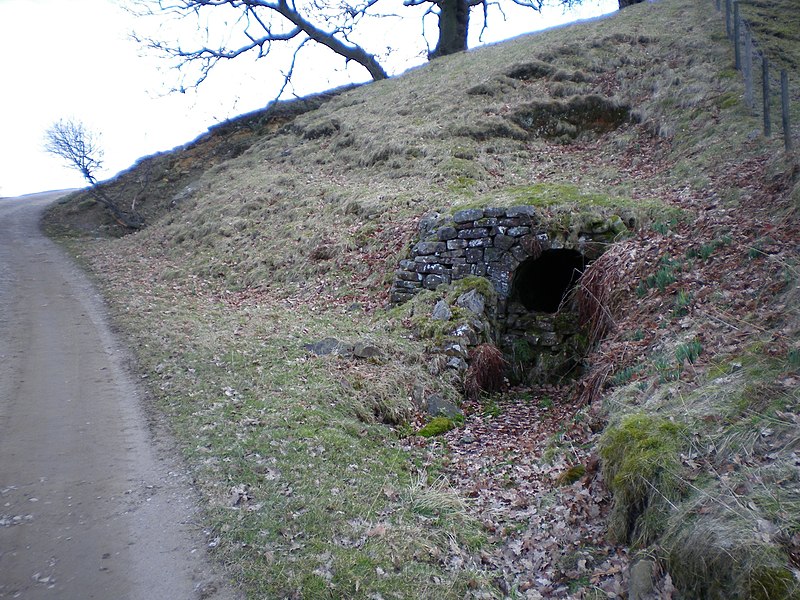File:Entrance to Lolly Scar lead mine - geograph.org.uk - 1754125.jpg