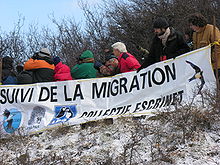 Observation des migrateurs en mars 2006.