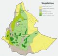 Vignette pour Déforestation en Éthiopie