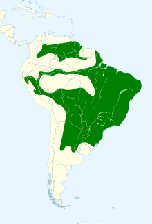 Euphonia chlorotica map.svg