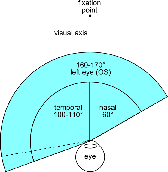 File:FOV left eye.svg