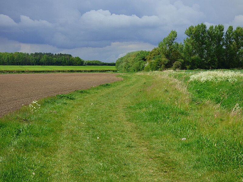 File:Farmland, Warborough - geograph.org.uk - 6157148.jpg