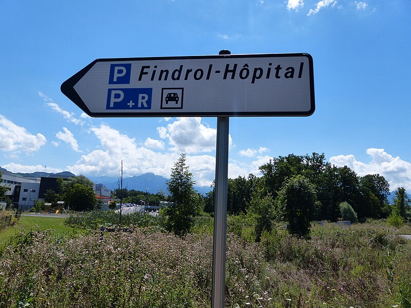 Fichier:Findrol D21b ID1a ID1b ID39.jpg