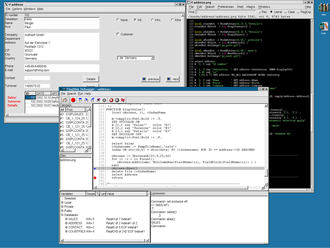 FlagShip environment:
Executing an application,
including the embedded
source-code debugger FlagShip environment 800px.png