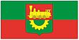 Baranavicsi zászlaja