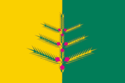 Flag of Nemsky District