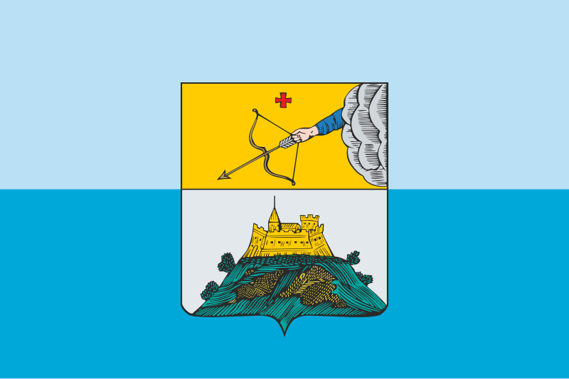 File:Flag of Sarapul.svg