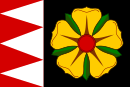 Flag af Stará Ves