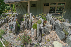 Botanischer Garten: Geschichte, Funktionen, Die größten botanischen Gärten