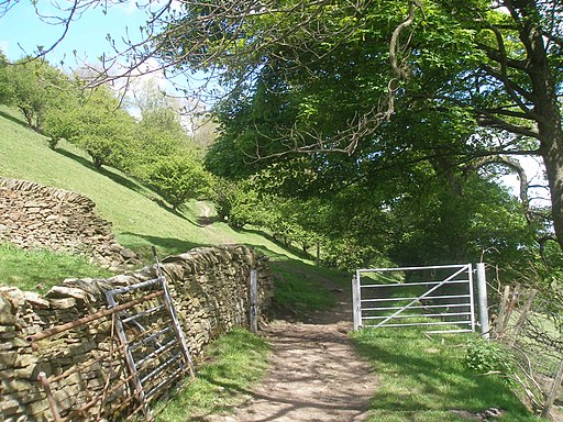 Footpath junction north of Kerridge End - geograph.org.uk - 3490088