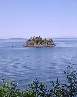 Freeman Island island in the United States of America