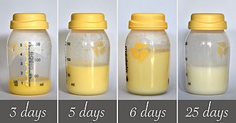 From Colostrum to Breastmilk. (Days after birth) From Colostrum to Breastmilk - 4241.jpg