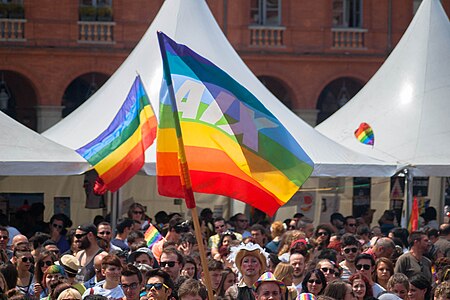 Toulouse Gay Pride 2014