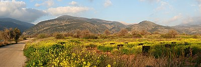 Golan Trail Hebrew Wikivoyage front page banner.jpg