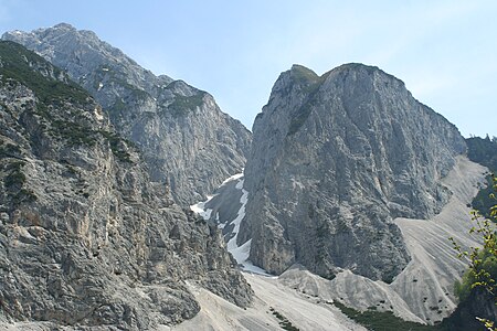 Halltaler Zunterkopf