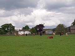 Halton East from the south.jpg