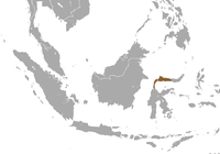 Heck's Macaque area.png