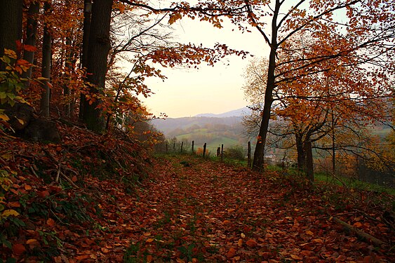 Herbst im Odenwald /Hessen