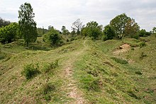 The Barnack Hills & Holes National Nature Reserve, former limestone quarries, are now a national nature reserve