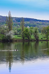 Hohenauer Teich