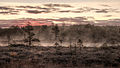 Image 31Fog rising over the Mukri bog near Mukri, Estonia. The bog has an area of 2,147 hectares (5,310 acres) and has been protected since 1992. (from Wetland)