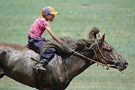 Delle corse ippiche durante il Naadam in Mongolia