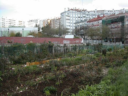 Allotments on the outskirts of Lisbon.