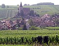 Hunawihr and Alsatian vineyards