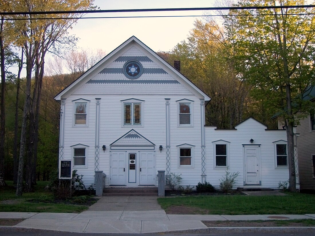 Hunter (village), New York