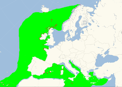 Utbredelseskart for havsvale