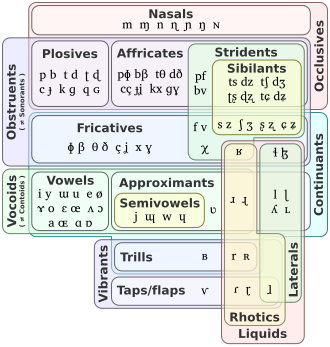 An Euler diagram of distinctive features.