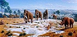 Peinture représentant un groupe de quatre mammouths, quatre chevaux préhistoriques, un Rhinocéros laineux et deux tigres à dents de sabre mangeant un cerf dans un paysage de steppe semi-enneigée.