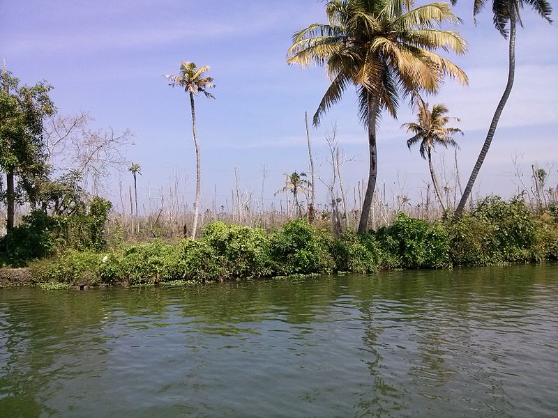 File:Jaisen Wiki Jalayathra 2013 Alappuzha Vembanad Lake50.jpg