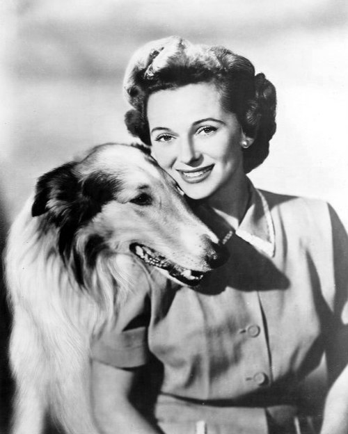 Clayton with Pal in Lassie (1955)