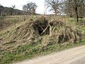 Čeština: Janovice (Kobyly). Okres Liberec, Česká republika.