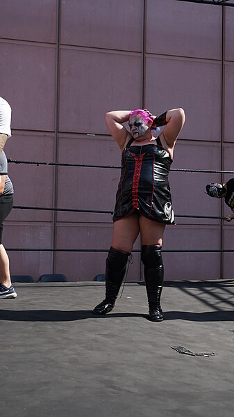 File:Japan Expo 2019 2019-07-07 16-47-04 ILCE-6500 DSC08030 (48272620577).jpg