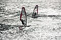 English: Windsurfers in Jericoacoara עברית: גולשים בז'ריקואקוארה