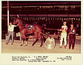 John Shegerian Horse Racing World Record.jpg