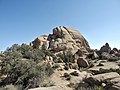 Vorschaubild für Joshua-Tree-Nationalpark