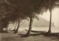 Coast near Muka Head on Penang island, circa 1910. Kleingrothe, C.J.