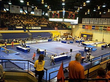 2008 Mid-American Conference Gymnastics Championship