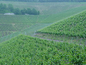 Gebirge Kaiserstuhl: Namensdeutung, Geographie, Geologie