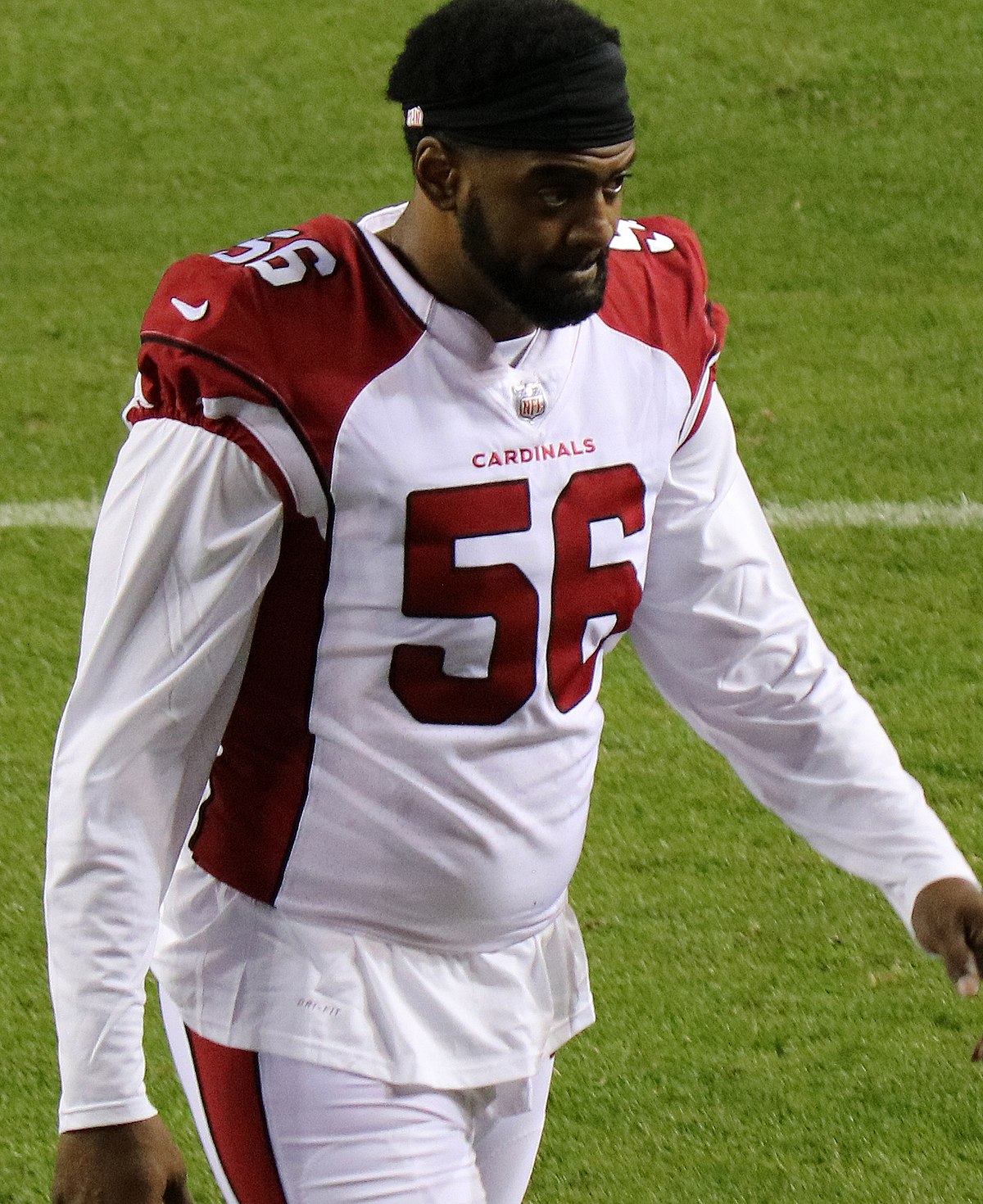 Former Arizona Cardinal Karlos Dansby hopes to be in Ring of Honor