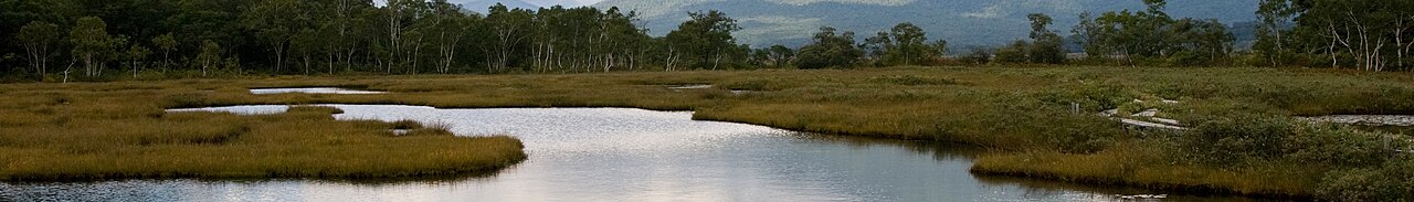 Katashima (Gunma) banner Ozegahara wetland.jpg