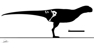<i>Kurupi itaata</i> Genus of dinosaur from the Late Cretaceous period