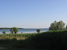 Vue sur le lac d'Orient et sa forêt.