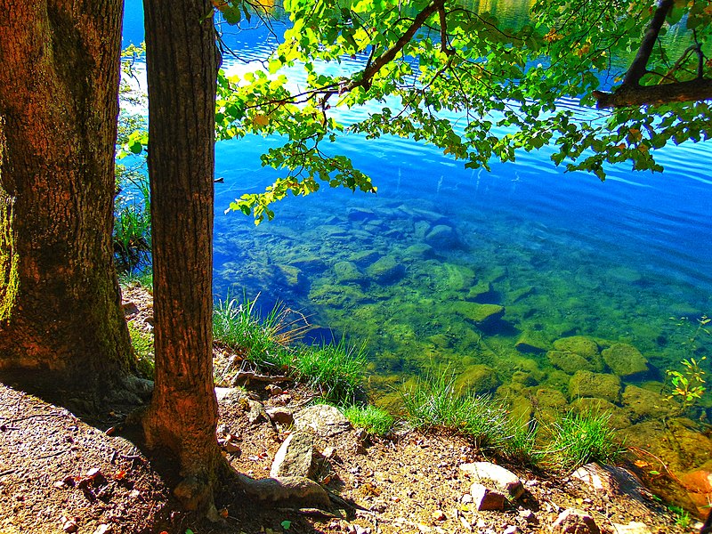 File:Lago di Monticolo - Photo by Giovanni Ussi - Lago Grande 62.jpg